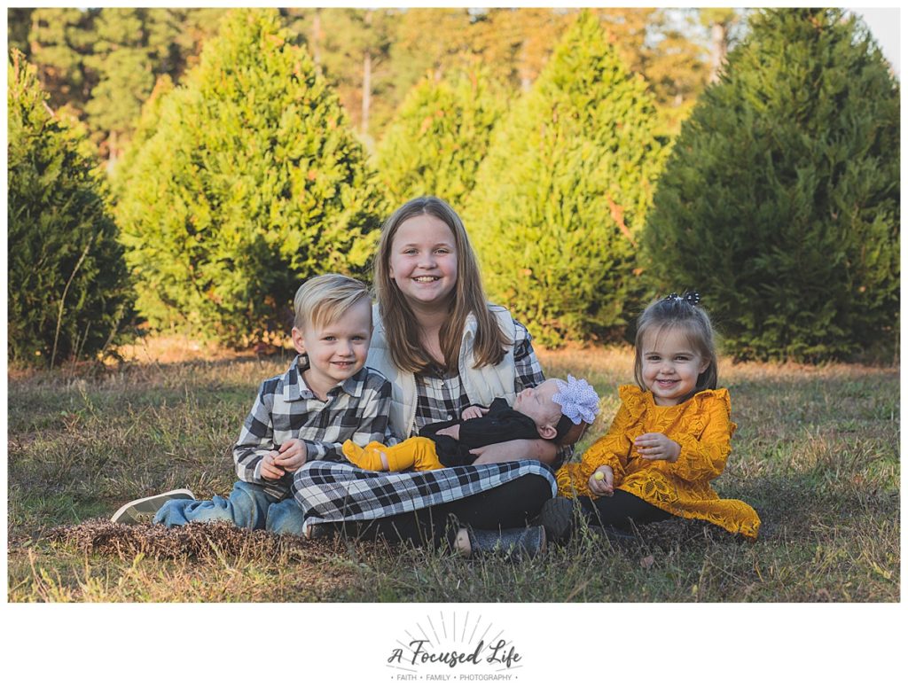 Christmas Tree Farm kids and family session 