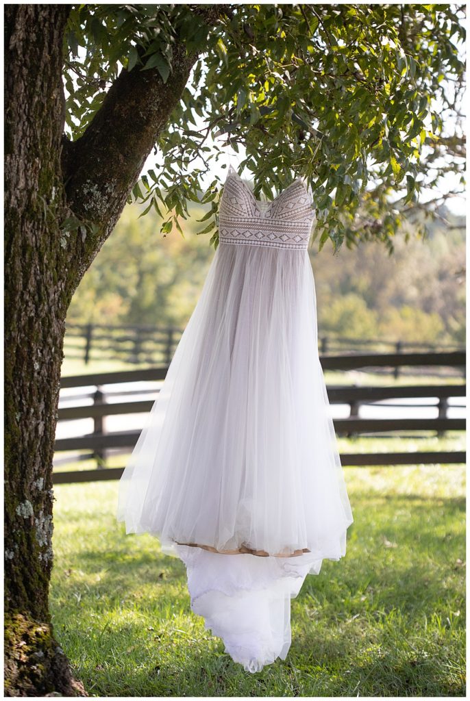 Bride’s thin strapped dress hanging in a tree with green leaves, fence in the background
